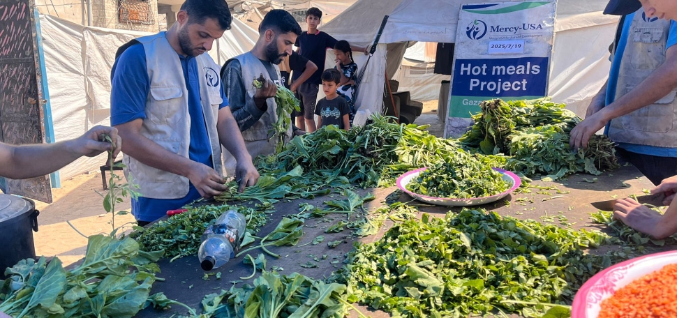 August25-Banner-Veg.jpg